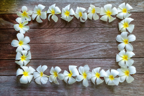 白色的鸡蛋花排列在一个框架上的木制背景。图片下载