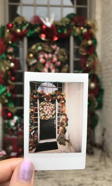 圣诞节宝丽来图片下载