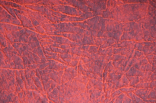 一块天然皮革，粗糙处理，有大皱纹，人工染成明亮的紫红色。图片下载