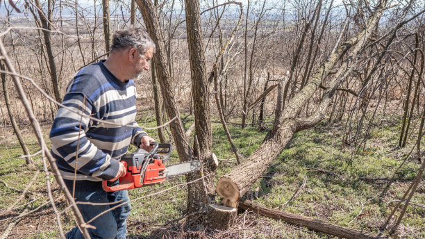 强壮的伐木工人穿着格子衬衫和帽子在锯木厂使用链锯。锯屑飞散库存照片图片下载