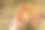 手拿着一片美味的披萨。木桌上放着热意大利披萨。俯视图图片下载