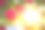 自家花园里的红玫瑰。情人节、母亲节或生日背景图片下载