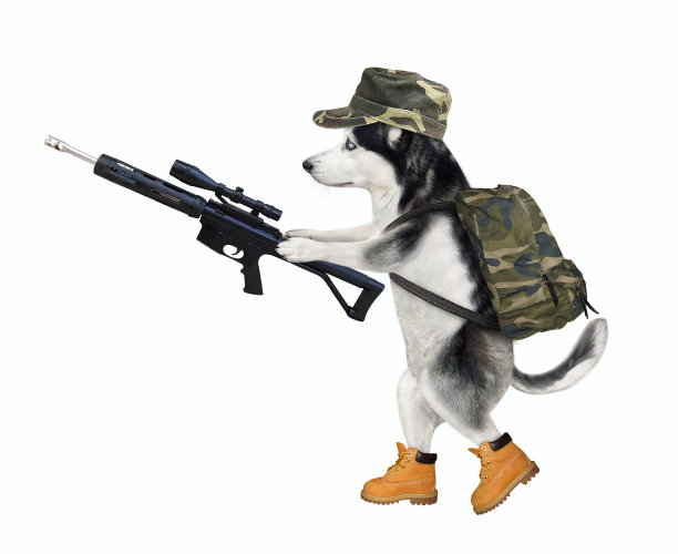 哈士奇手持带有光学瞄准器的步枪图片下载