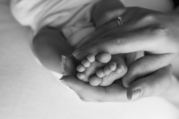 父母手中。新生儿的双腿在爸爸妈妈的手中。婴儿的腿在他的手中。黑白图片图片下载