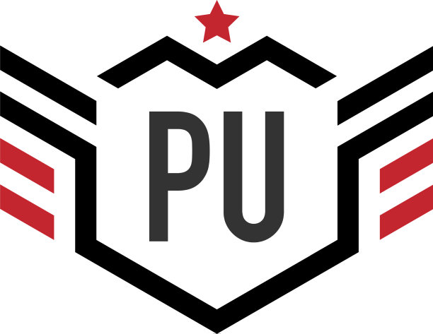 首字母pu星翼六边形创意图片下载