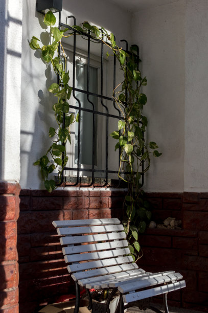 白色的木凳和带有植物的窗户图片下载