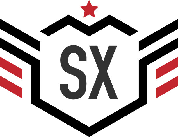 首字母sx星翼六边形创意图片下载