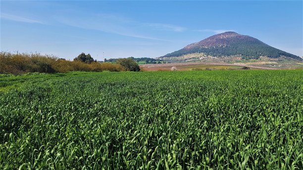 以色列北部塔沃尔山图片下载