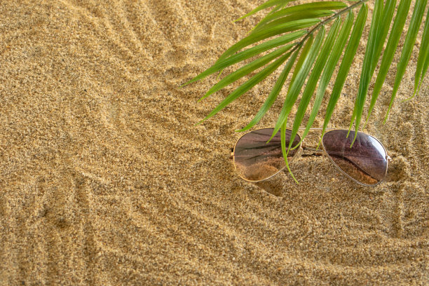 太阳眼镜和绿色的棕榈枝在沙的背景上图片下载
