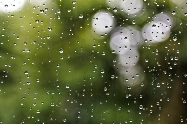 水滴落在绿色的背景上图片下载