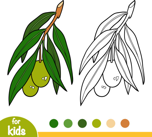 着色书橄榄枝图片下载