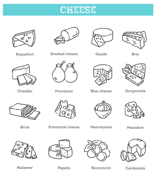 奶酪集合。奶酪类型的矢量插图图片下载
