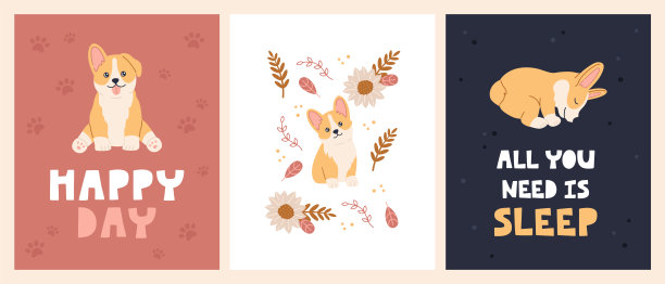 可爱的品种韦尔奇滑稽柯基集，卡哇伊狗与装饰图片下载