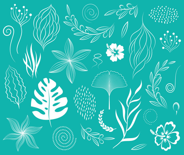 植物和有机设计元素设置图片下载