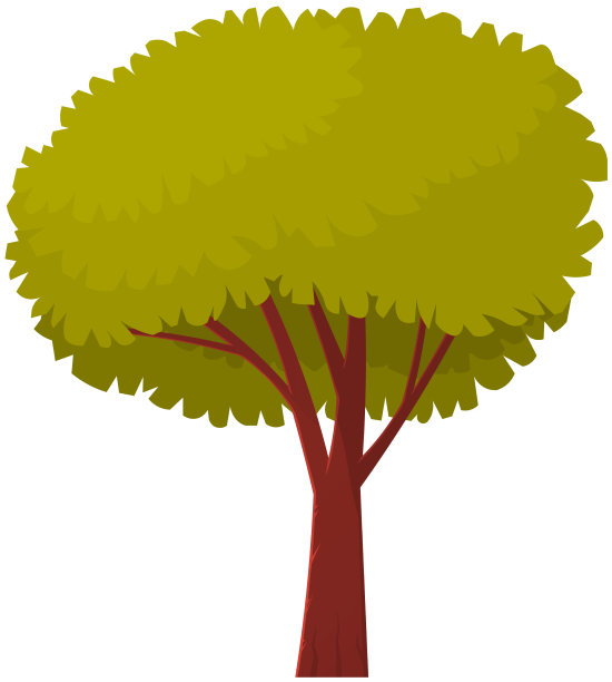 有棕色粗树干和大叶子的高大的树图片下载