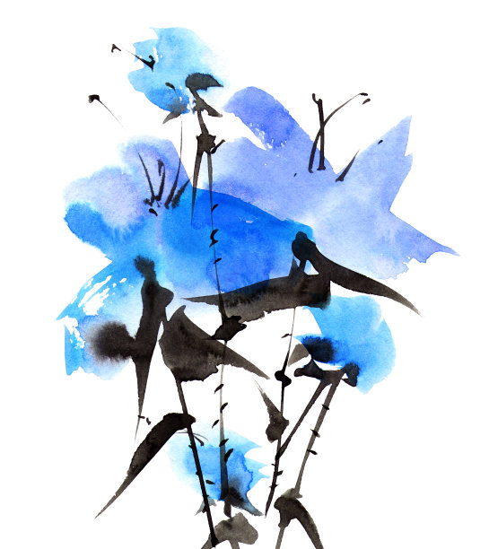 一束蓝色的花图片下载