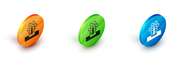 等距摩天轮图标孤立在白色图片下载