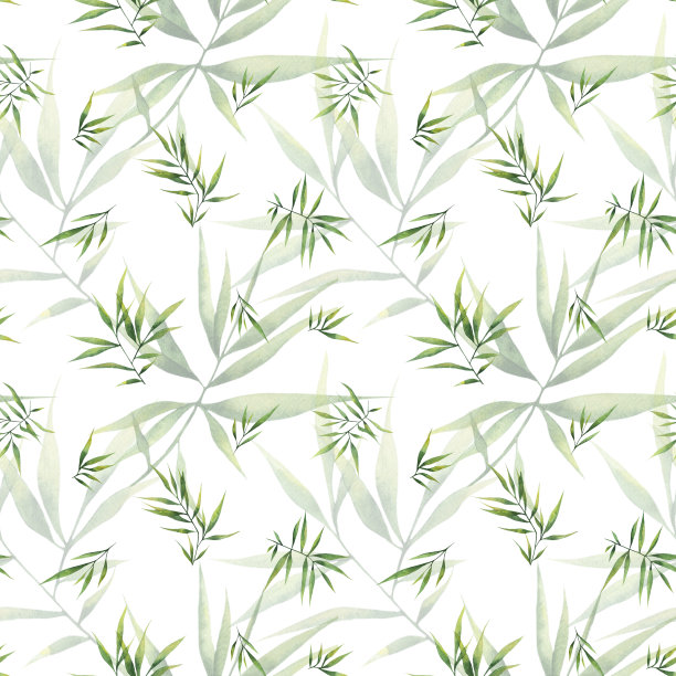 无缝水彩模式与大树枝和竹叶在白色的背景。图片下载