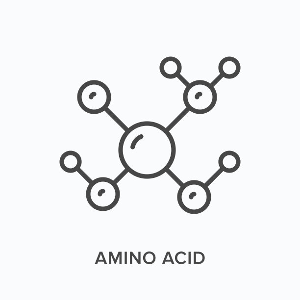 氨基酸扁平线条图标：结构式矢量轮廓图，分子黑色细线条象形图图片下载