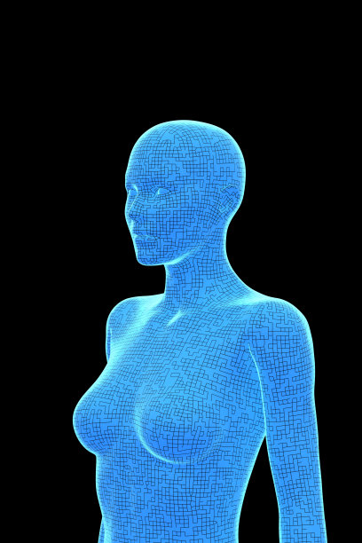 女性，人体女性，3D图片下载