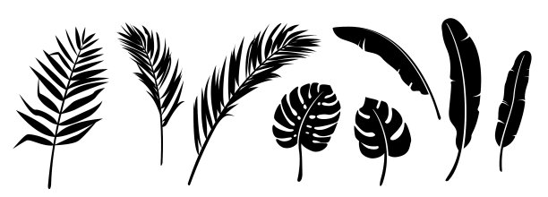 棕榈叶剪影背景图片下载