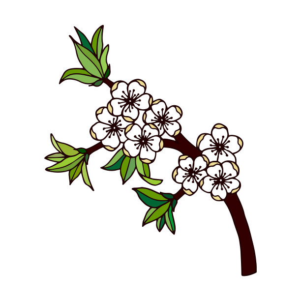 梅花树的树枝上开满了花。图片下载