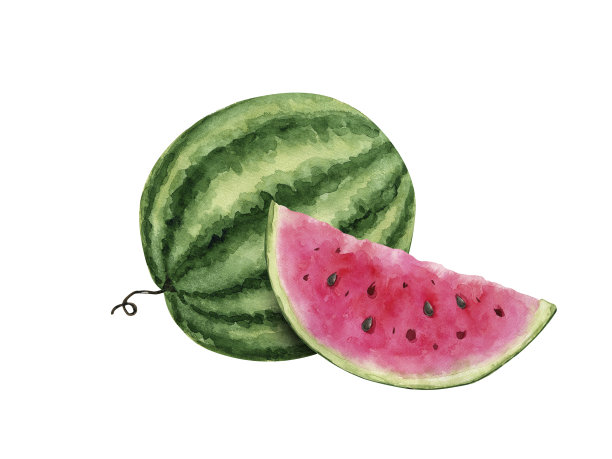 西瓜和切片的水彩插图。手绘在白色背景上图片下载