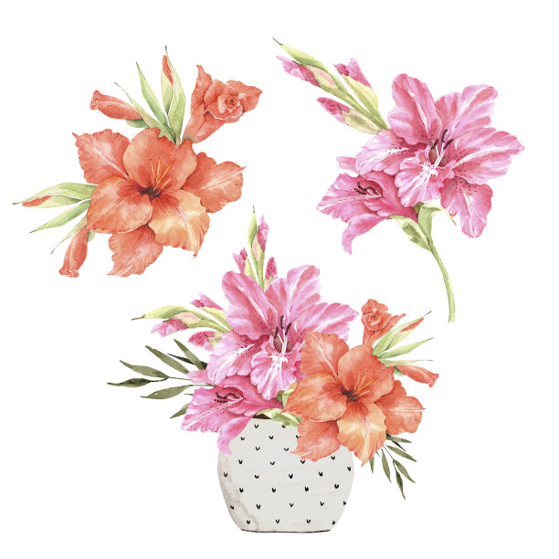 一套花束与粉色和橙色百合花，水彩插图上的白色背景图片下载