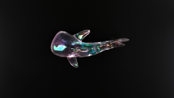玻璃鲸孤立在黑色背景图片下载