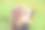 一个小女孩站在草地上，用双筒望远镜看图片下载