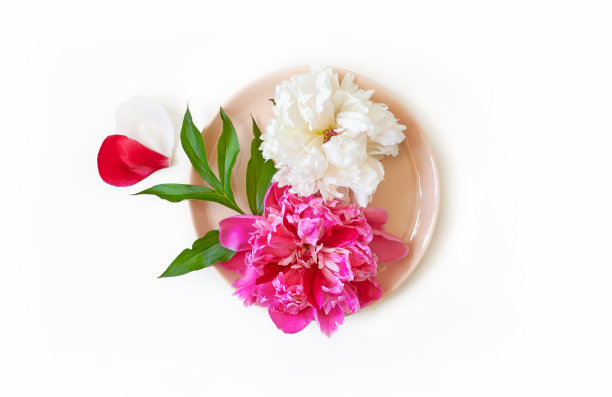 粉白相间的牡丹花放在盘子上，花瓣呈心形。节日餐桌装饰，餐桌摆设。节日背景的餐厅，咖啡馆，菜单，食品销售网站。图片下载
