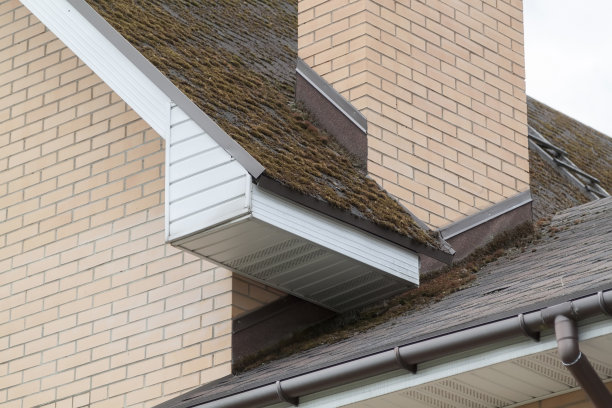 旧屋顶的屋角，铺有苔藓和排水沟的沥青瓦。金属排水沟系统，排水沟和排水管道外部图片下载