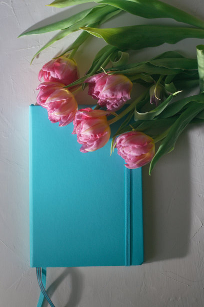 白色背景上有郁金香的蓝色笔记本图片下载