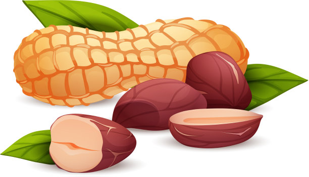 花生作文侧视图卡通艺术图片下载