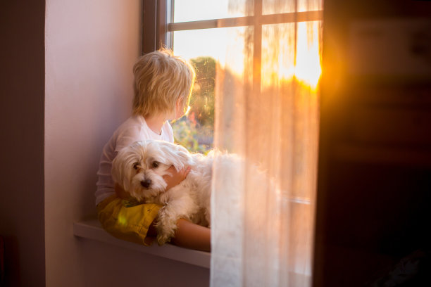 可爱的蹒跚学步的孩子，和宠物狗坐在日落的窗户上图片下载