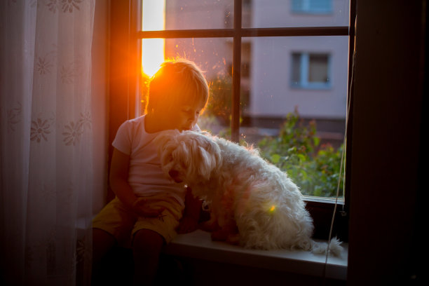 可爱的蹒跚学步的孩子，和宠物狗坐在日落的窗户上图片下载