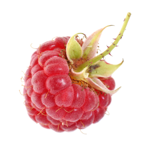 新鲜的覆盆子与叶片自然详细封闭孤立在白色图片下载