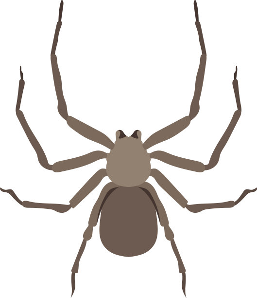 非洲种图片下载