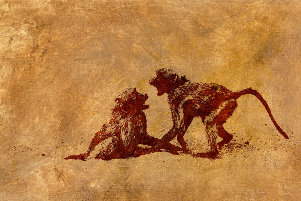 南非克鲁格国家公园的一种狒狒图片下载