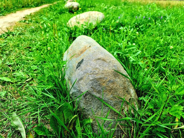 路上有石头。路上有石头。图片下载