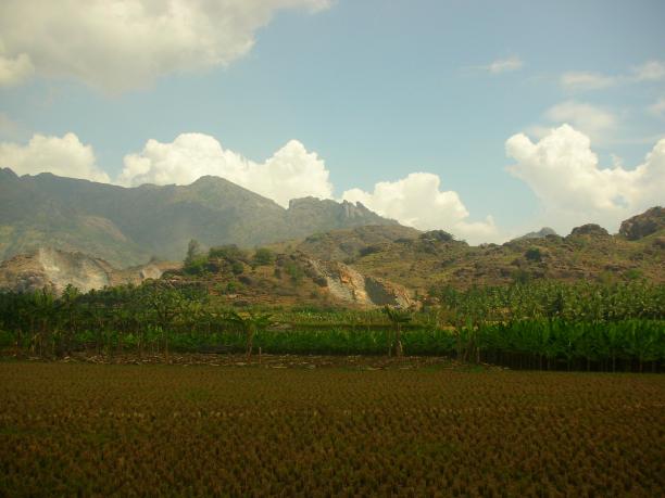 印度南部的一个农场图片下载