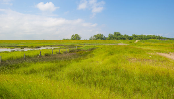 北海海岸的一个潮汐口自然保护区，在明亮的蓝白色多云的夏季天空下图片下载
