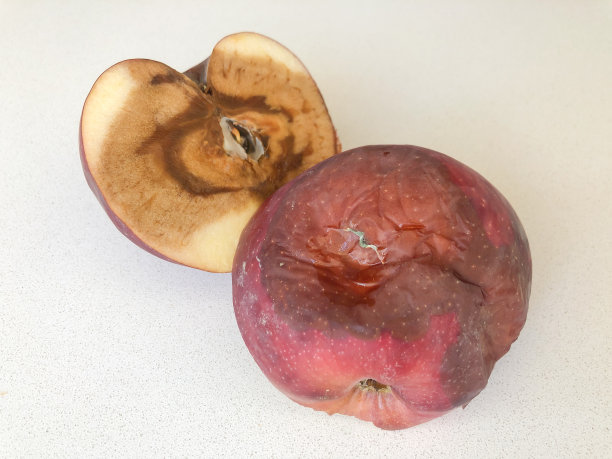 切成两半的烂苹果放在桌上图片下载