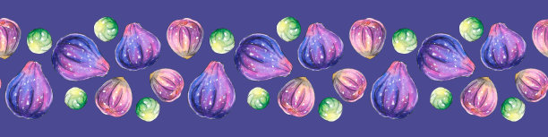 水彩无花果的镶边、丝带、镶边。手绘鲜艳无缝图案，点缀，装饰元素，装饰浆果，水果素描风格。用于食品设计、包装图片下载