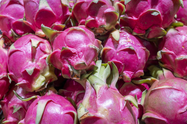 火龙果食品背景图片下载