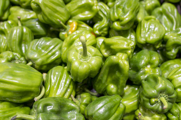 青椒的食物背景图片下载