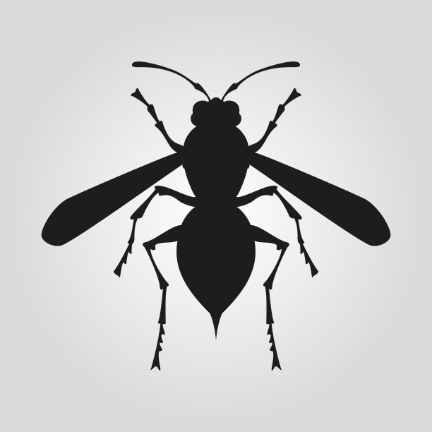 图标黄蜂轮廓在白色的背景图片下载