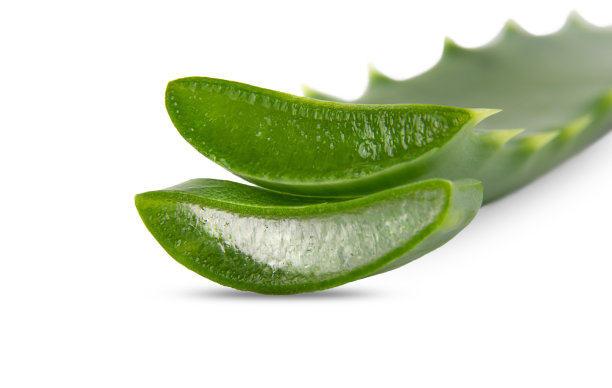 芦荟叶特写部分图片下载