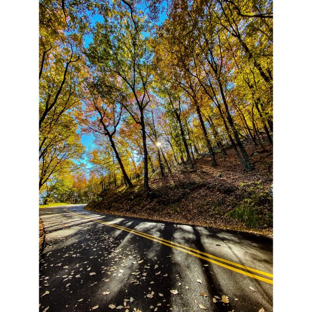 山路上的秋天图片下载