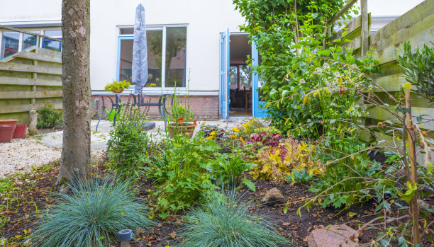 夏日阳光明媚，花园里鲜花盛开图片下载